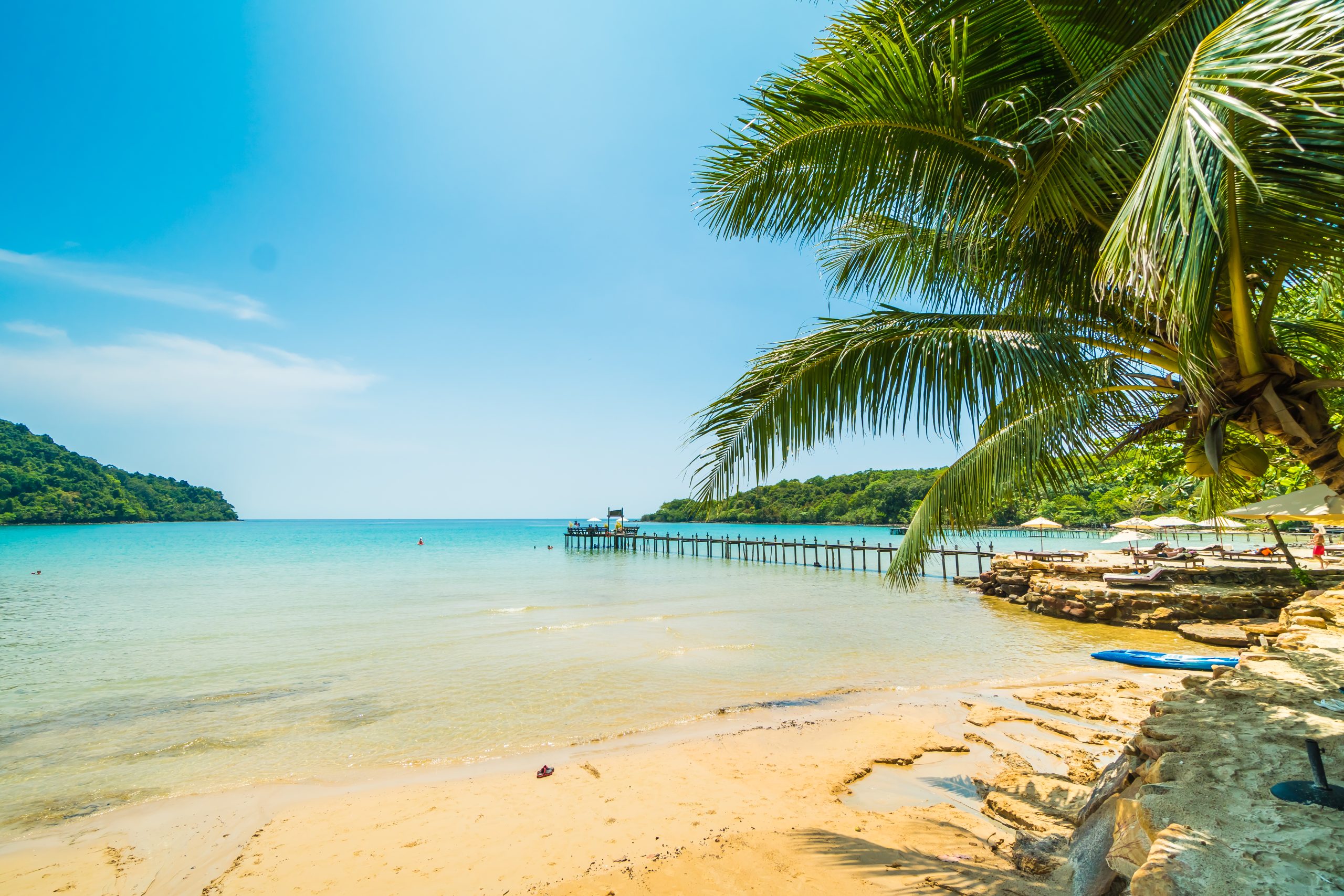 Beautiful tropical beach and sea with coconut palm tree in parad Beautiful tropical beach and sea with coconut palm tree in parad
